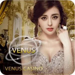 paldoplus Live Casino