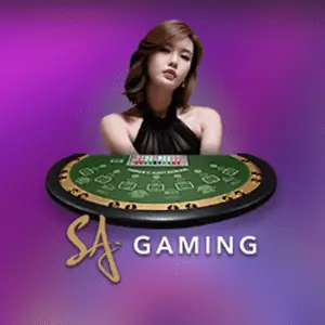 paldoplus Live Casino secondary placement 4