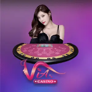 paldoplus website image 160 showing live casino prov via